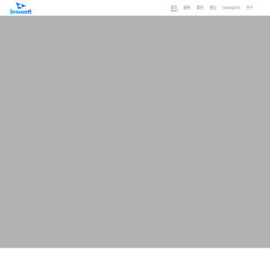 bravesoft 北京勇软博盛科技有限公司