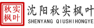 沈阳庆典礼仪活动策划公司,舞台搭建租赁-沈阳秋实庆典活动策划公司