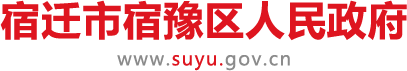 “云端”学术交流助力宿迁市中医院引入更多优质医疗资源（四） - 宿豫区人民政府